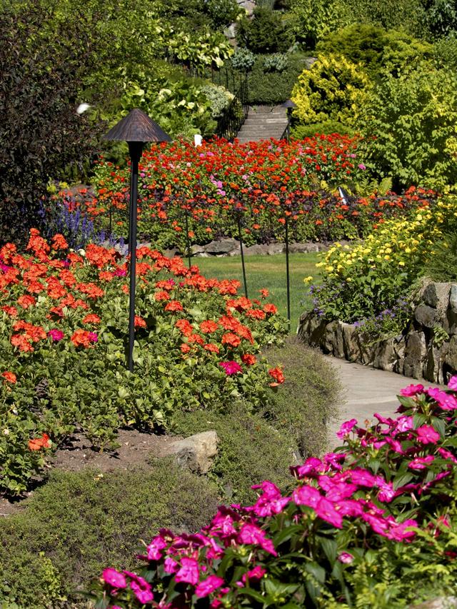 Brighten Your Yard with These Perennials