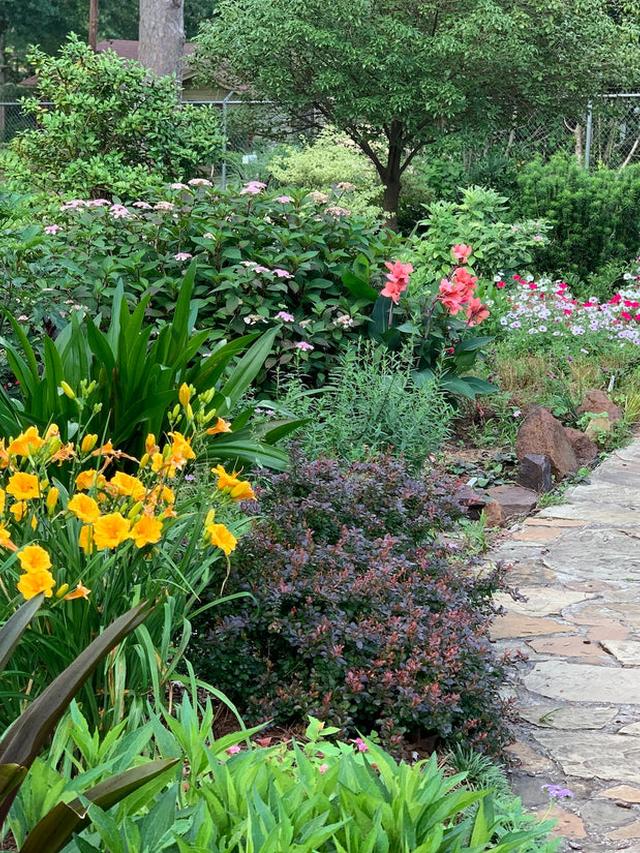 Combining Annuals and Perennials for Maximum Impact