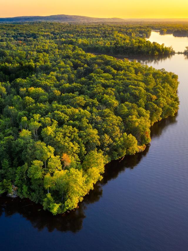 Conservation Efforts for the Island Giants