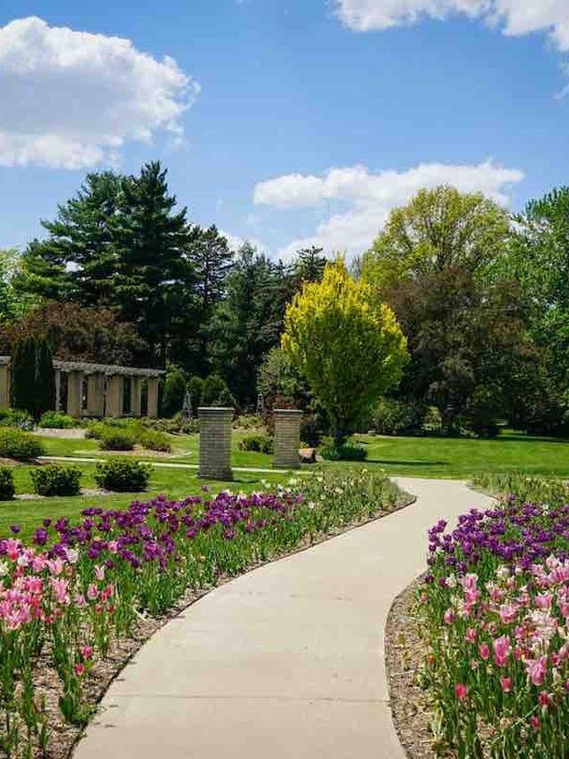 Gardens That Attract Miniature Flyers