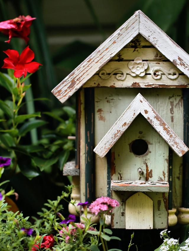 How to Build the Perfect Birdhouse for Your Garden