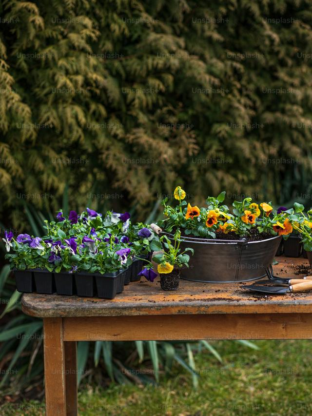 How to Make Your Garden Bloom All Year Long