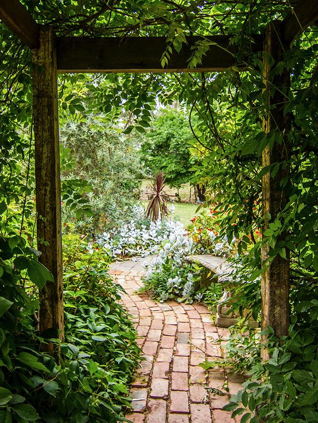 Perennials Perfect for Shady Spots