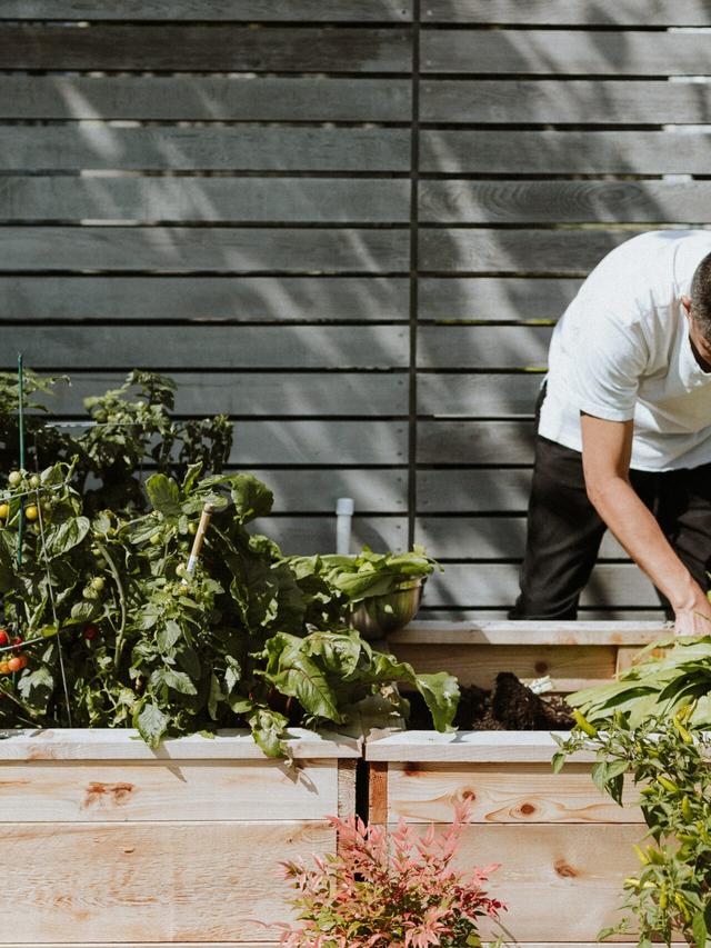 Revitalize Your Yard with These Perennial Varieties