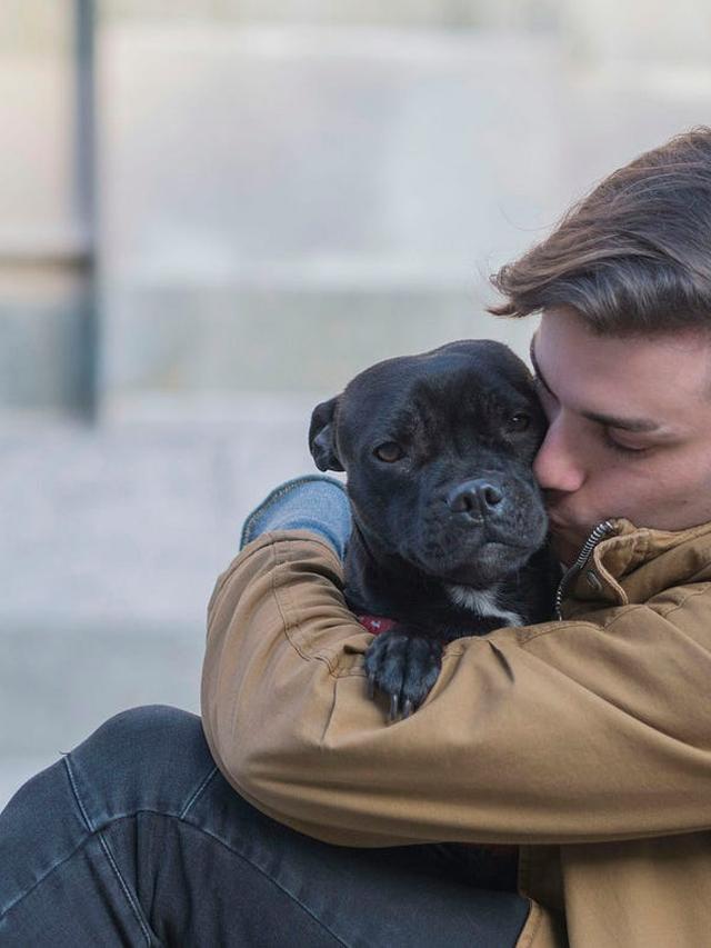 The Bond Between Humans and Their Furry Companions