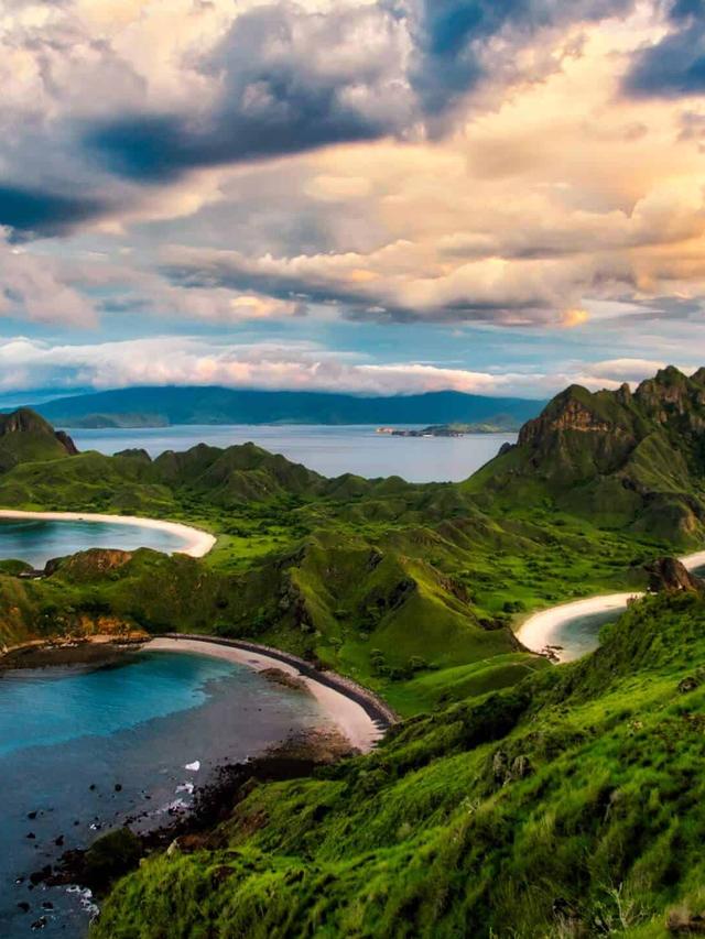 The Ecosystem of Komodo National Park