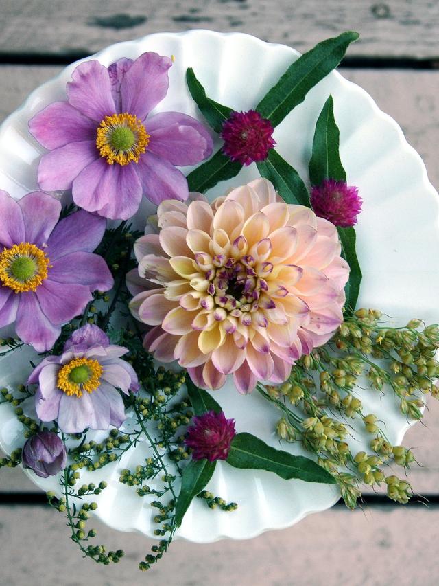 The Ultimate Guide to Growing Edible Flowers