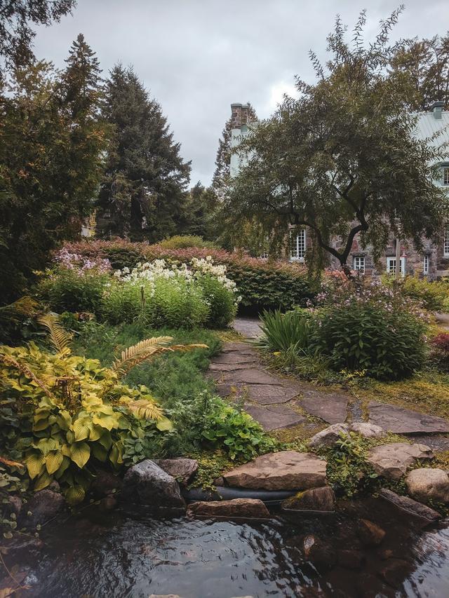 Using Perennials to Create a Low-Water Landscape