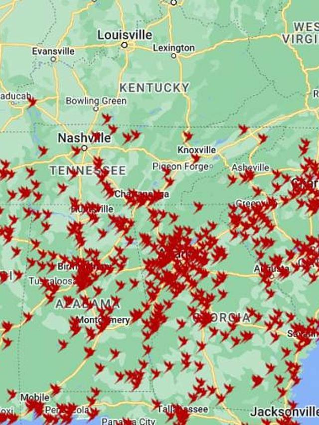 2024 Hummingbird Migration Map: Track Their Journey