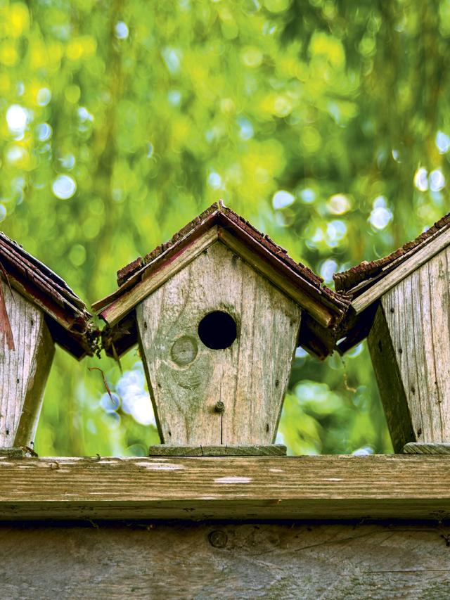 Creative Bird House Designs to Try This Summer