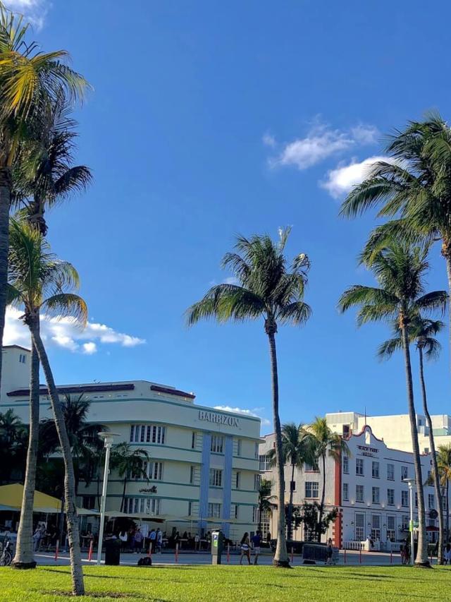 Enjoying the Outdoor Art Installations and Events at the Miami Beach Convention Center.