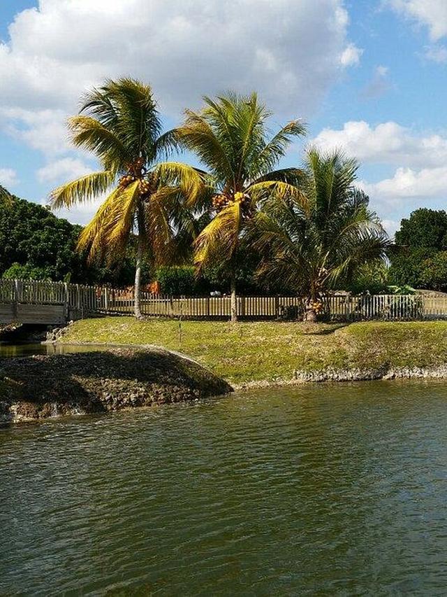 Enjoying the Wildlife and Natural Beauty at the Fruit and Spice Park in Homestead, Near Miami.