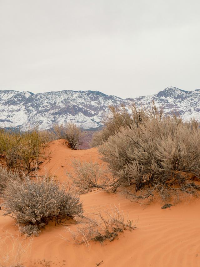 Exploring Natural Wonders at Desert National Wildlife Refuge near Las Vegas