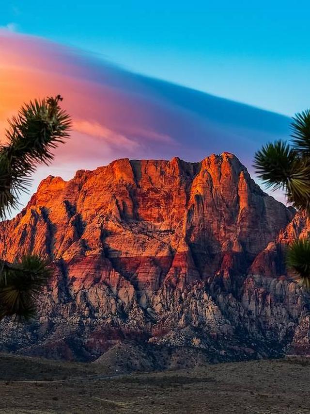 Exploring the Natural Beauty and Adventure of Red Rock Canyon National Conservation Area near Las Vegas