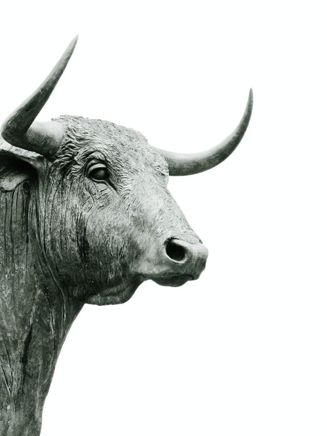 How Taurus Copes with Stress: Grounding Practices for the Bull