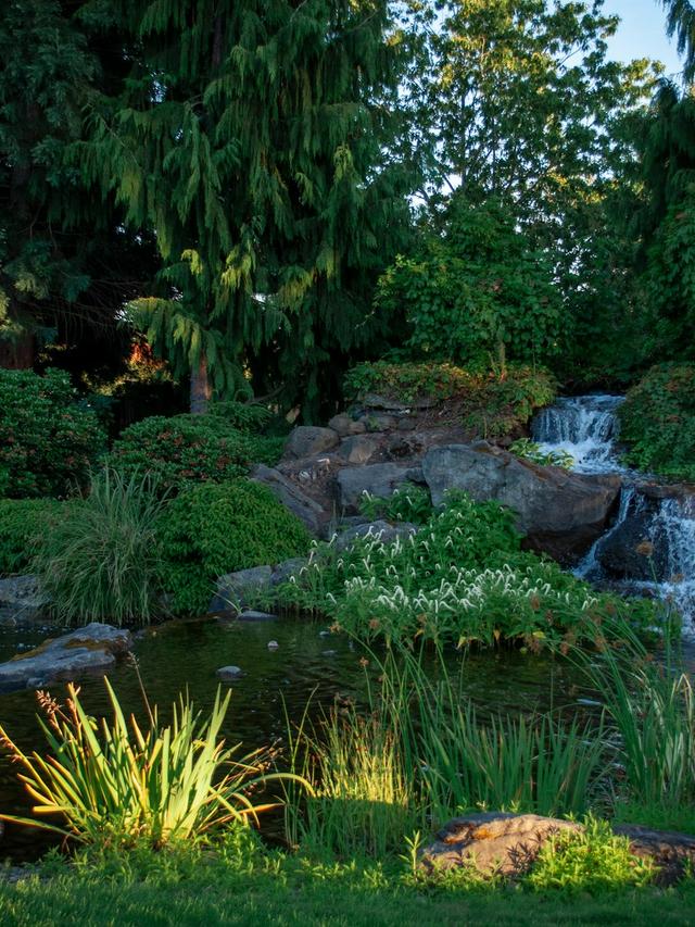 How to Create a Wildlife Pond in Your Garden: Designing with Aesthetic Appeal