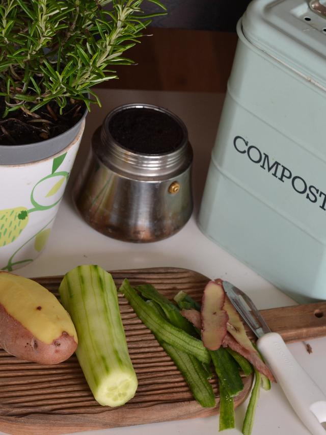 How to Start a Compost Bin for Your Garden: Selecting the Right Bin Type