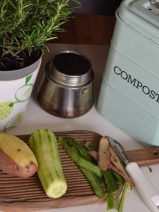 How to Start a Compost Bin for Your Garden: Tips for Balancing Ingredients