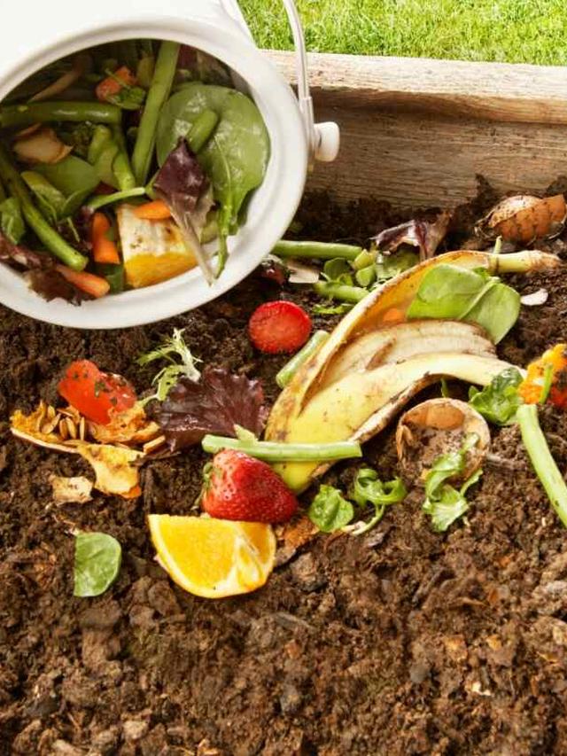 How to Start a Compost Bin for Your Garden and Use the Compost in Various Applications