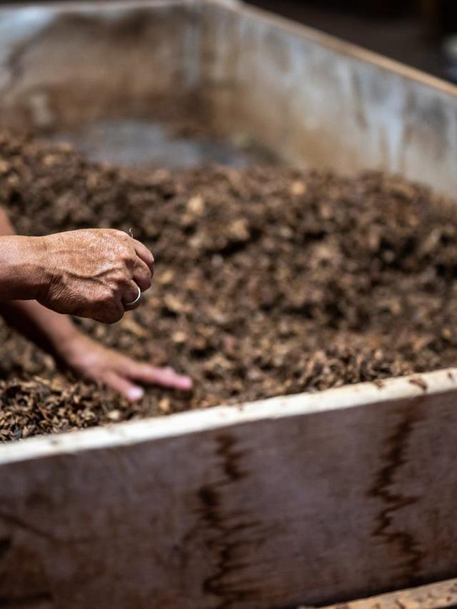 How to Start a Compost Bin for Your Garden to Create Nutrient-Rich Compost