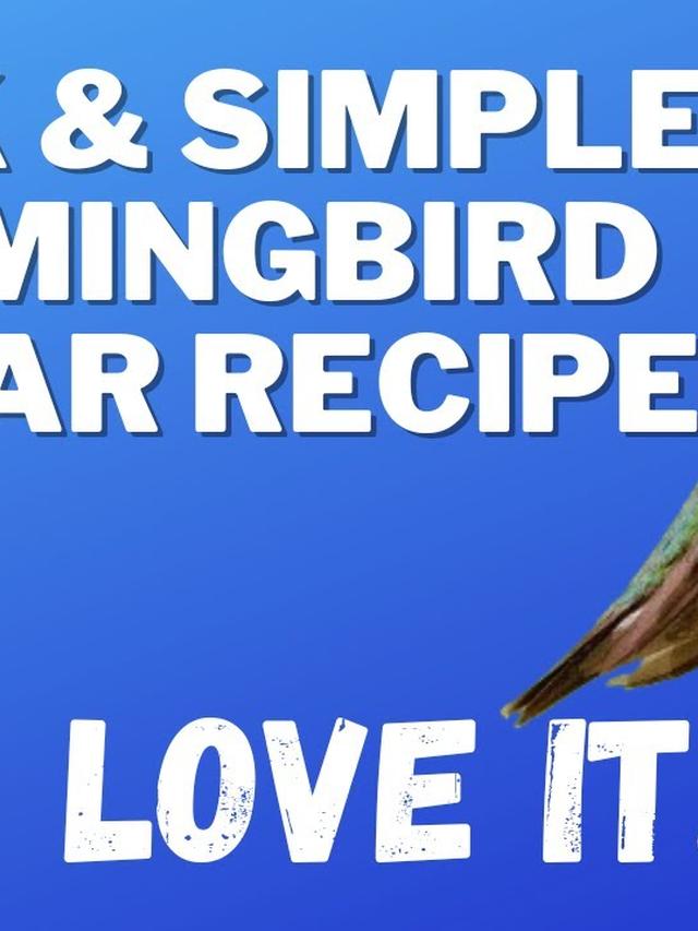 Perfect Sugar Water Recipe for Hummingbirds