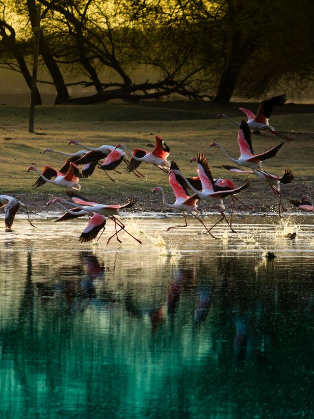 Top Bird Sanctuaries to Visit This Summer