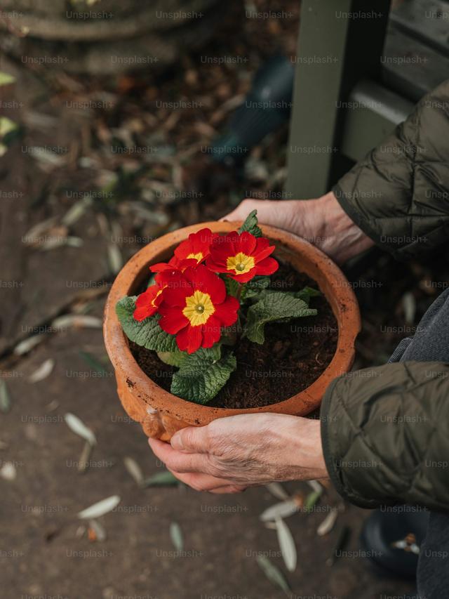 Using Perennial Flowers in Landscaping Designs