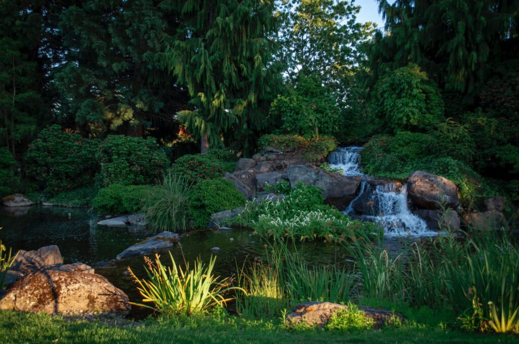 How to Create a Wildlife Pond in Your Garden