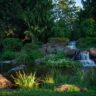 How to Create a Wildlife Pond in Your Garden